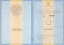 Специалист 2009-2011